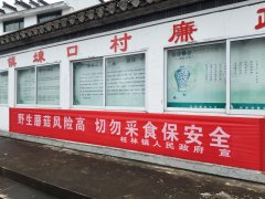 歙县桂林镇连系大走访工做开展“禁食野生毒蘑